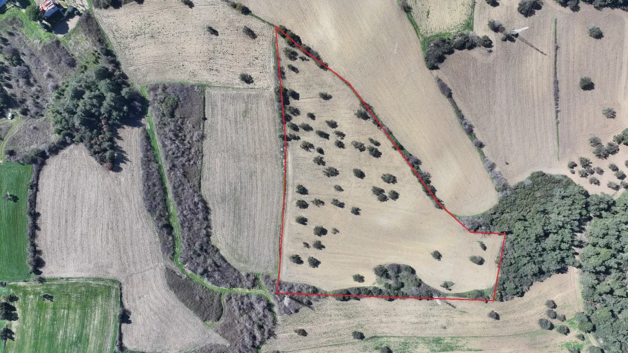 GELİBOLU BURHANLIDA DENİZ VE DOĞA MANZARALI 20,573m2 TARLA - görsel 17