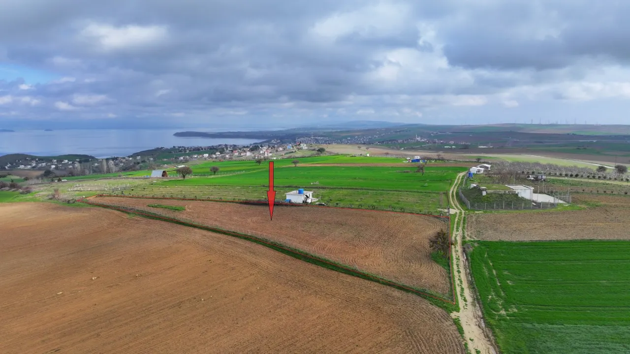 GELİBOLU GÜNEYLİ'DE SAROZ DENİZİ MANZARALI 5,806m2 TARLA - görsel 14