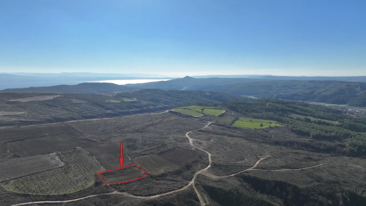ÇANAKKALE GELİBOLU PAZARLIDA 2,885m2 TARLA - görsel 6