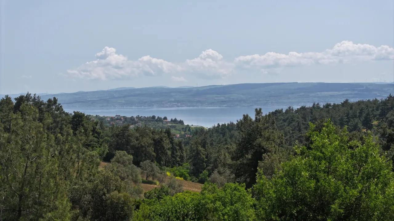 ÇANAKKALE GELİBOLU PAZARLIDA MÜSTAKİL TAPULU 6,517m2 TARLA - görsel 16