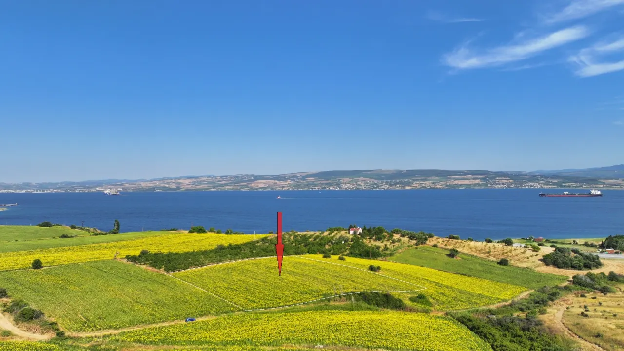 ÇANAKKALE GELİBOLU SÜTLÜCE'DE DENİZ MANZARALI 9,908m2 TARLA - görsel 10