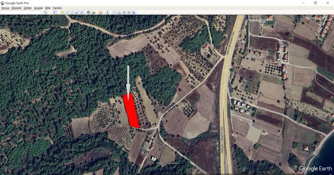 GELİBOLU ILGARDEREDE MÜSTAKİL TAPULU 4,205m2 ZEYTİNLİK - görsel 22