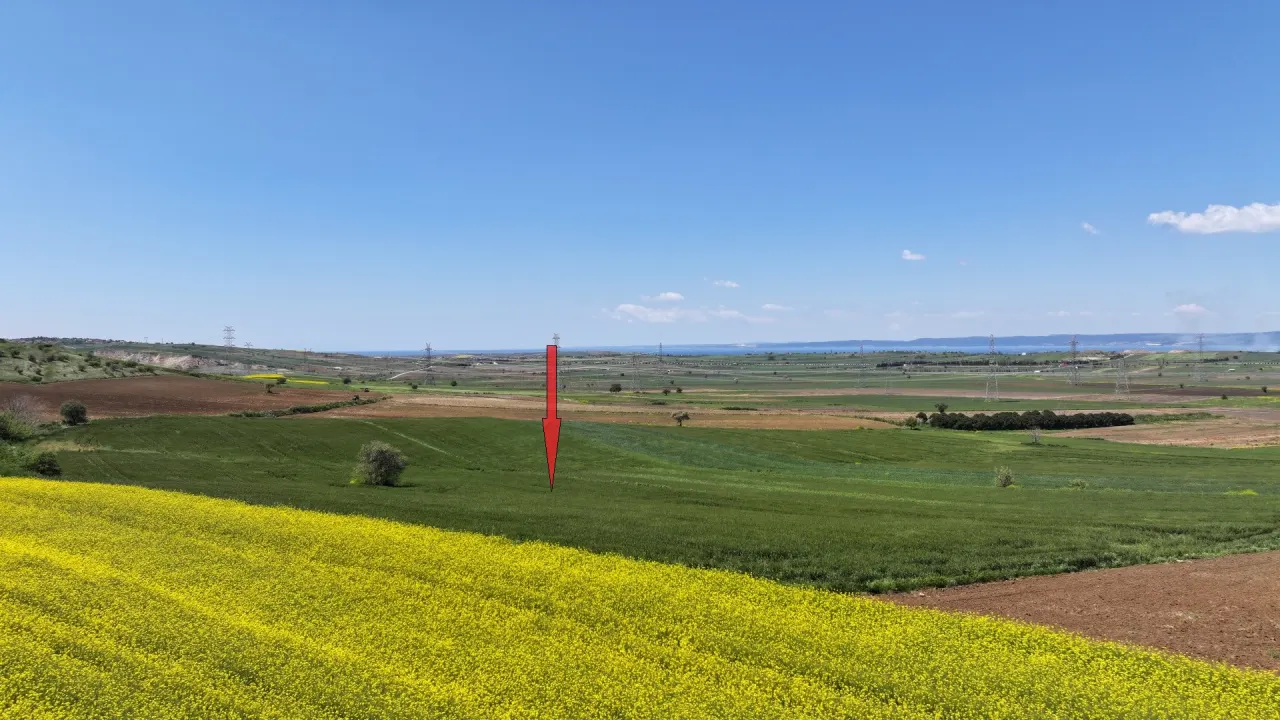 ÇANAKKALE GELİBOLU DEMİRTEPE'DE 14,223m2 MÜSTAKİL TAPULU TARLA - görsel 11