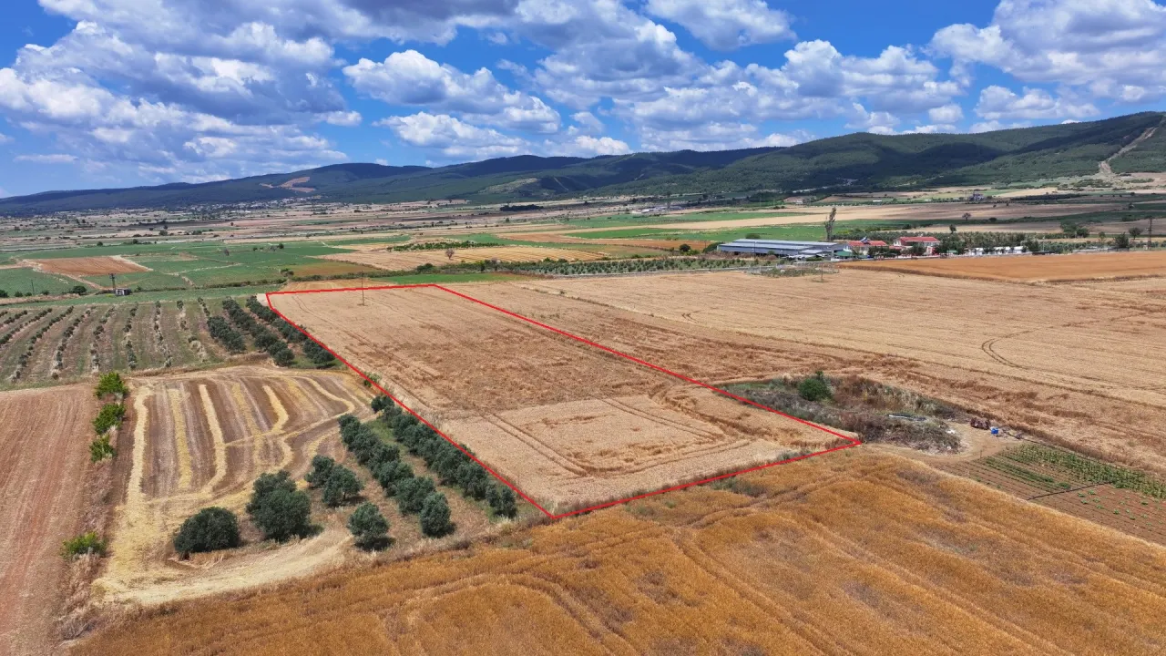 GELİBOLU KALEALTI KÖYÜNDE DENİZ MANZARALI 8,266m2 TARLA - görsel 4