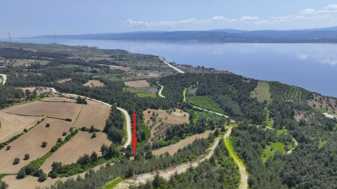 ÇANAKKALE GELİBOLU PAZARLIDA MÜSTAKİL TAPULU 6,517m2 TARLA - görsel 3