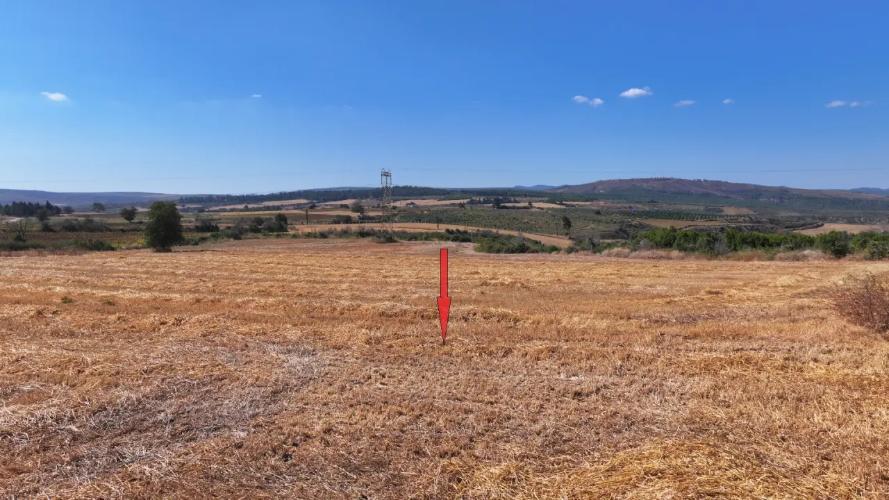 ÇANAKKALE GELİBOLU PAZARLI'DA MÜSTAKİL TAPULU 6,964m2 TARLA - görsel 11