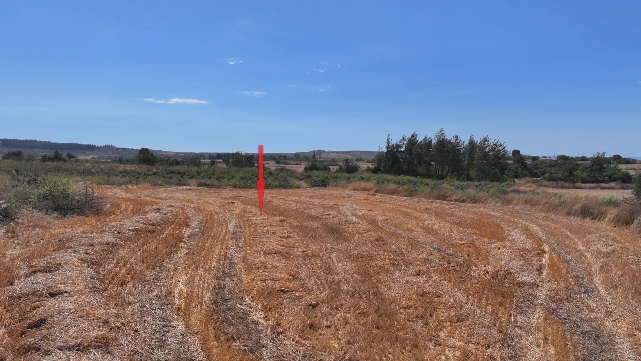 ÇANAKKALE GELİBOLU PAZARLI'DA KÖYE YAKIN MESAFEDE 2,050m2 TARLA - görsel 11