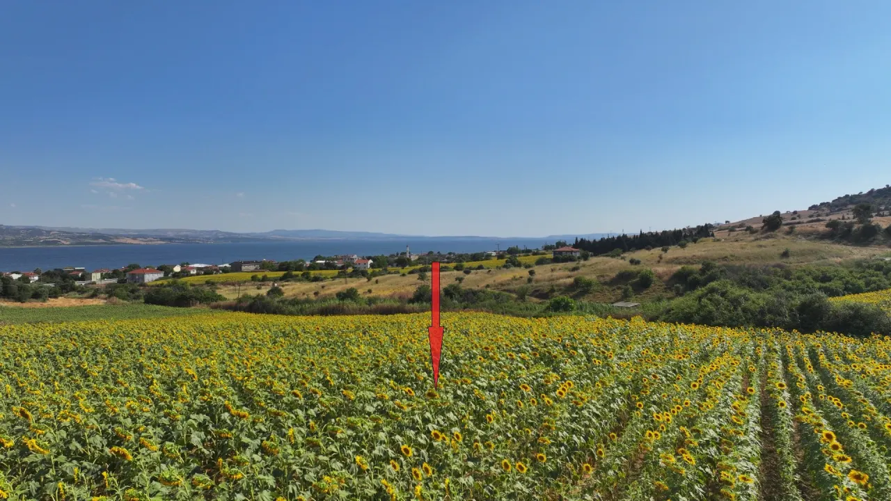ÇANAKKALE GELİBOLU SÜTLÜCE'DE DENİZ MANZARALI 9,908m2 TARLA - görsel 14