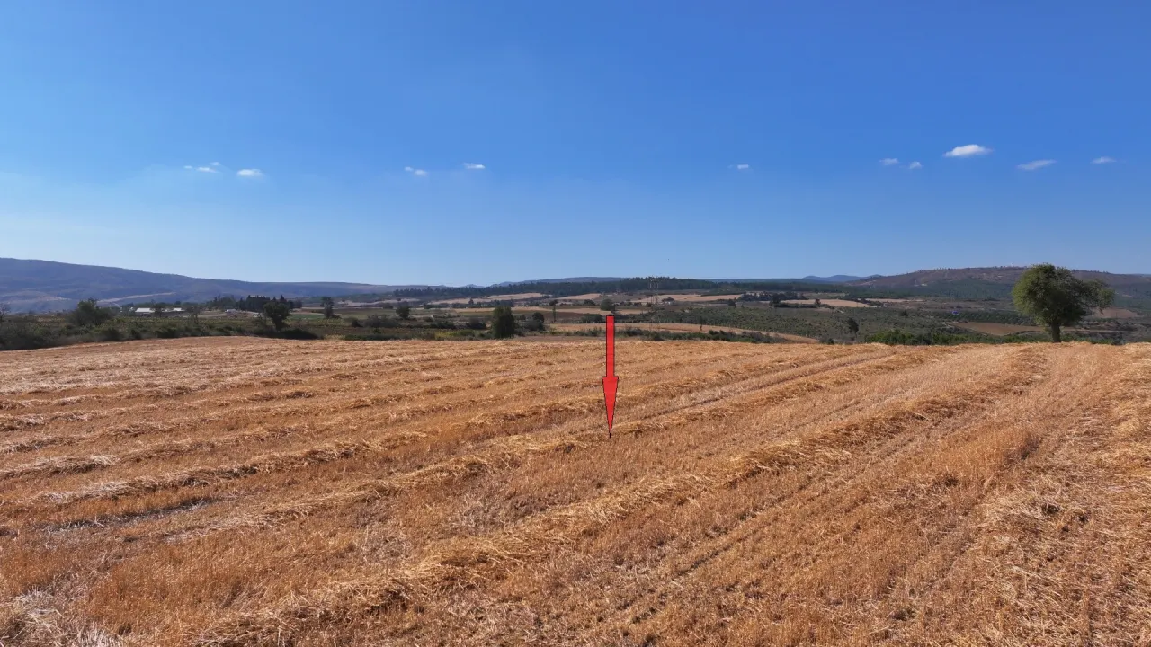ÇANAKKALE GELİBOLU PAZARLI'DA MÜSTAKİL TAPULU 6,964m2 TARLA - görsel 14