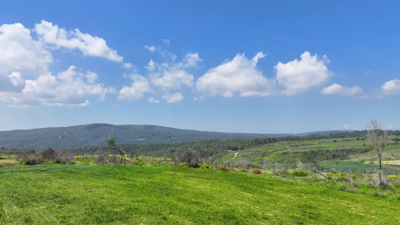 ÇANAKKALE GELİBOLU PAZARLI'DA DOĞA İLE İÇ İÇE 4,899m2 TARLA - görsel 7
