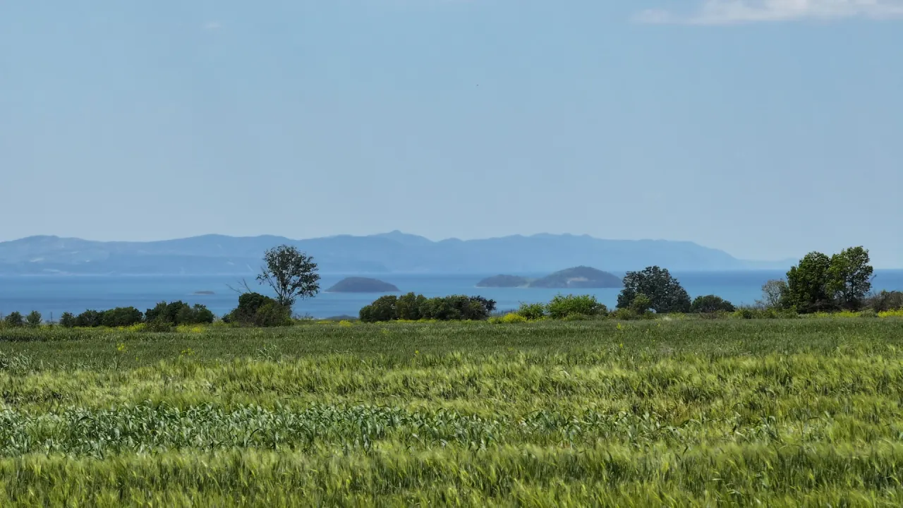 ÇANAKKALE GELİBOLU SÜLEYMANİYEDE MÜSTAKİL TAPULU 9,172m2 TARLA - görsel 17