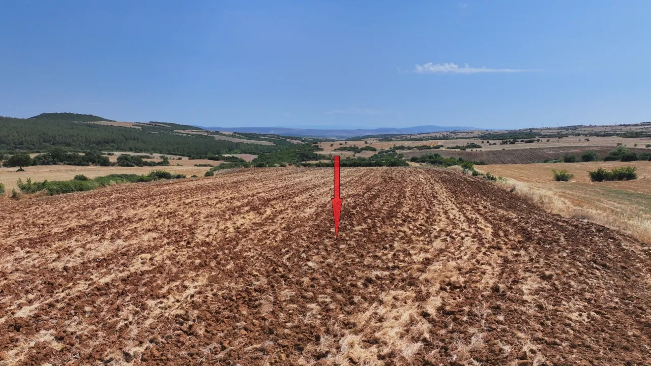 ÇANAKKALE GELİBOLU BAYRAMİÇ KÖYÜ'NDE 9,660 m² MÜSTAKİL TAPULU TARLA - görsel 7