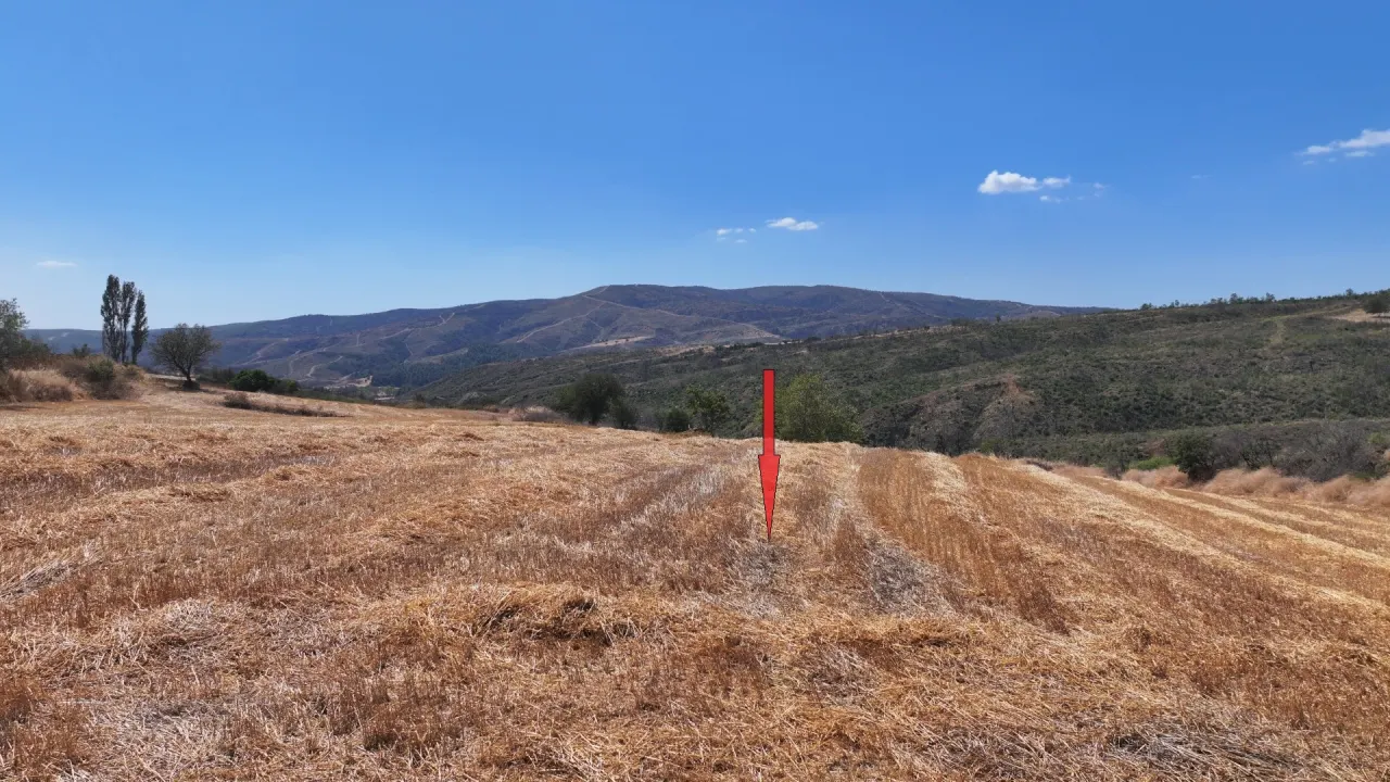 ÇANAKKALE GELİBOLU PAZARLIDA MÜSTAKİL TAPULU 6,493m2 TARLA - görsel 9
