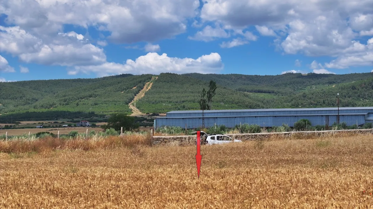 GELİBOLU KALEALTI KÖYÜNDE DENİZ MANZARALI 8,266m2 TARLA - görsel 24