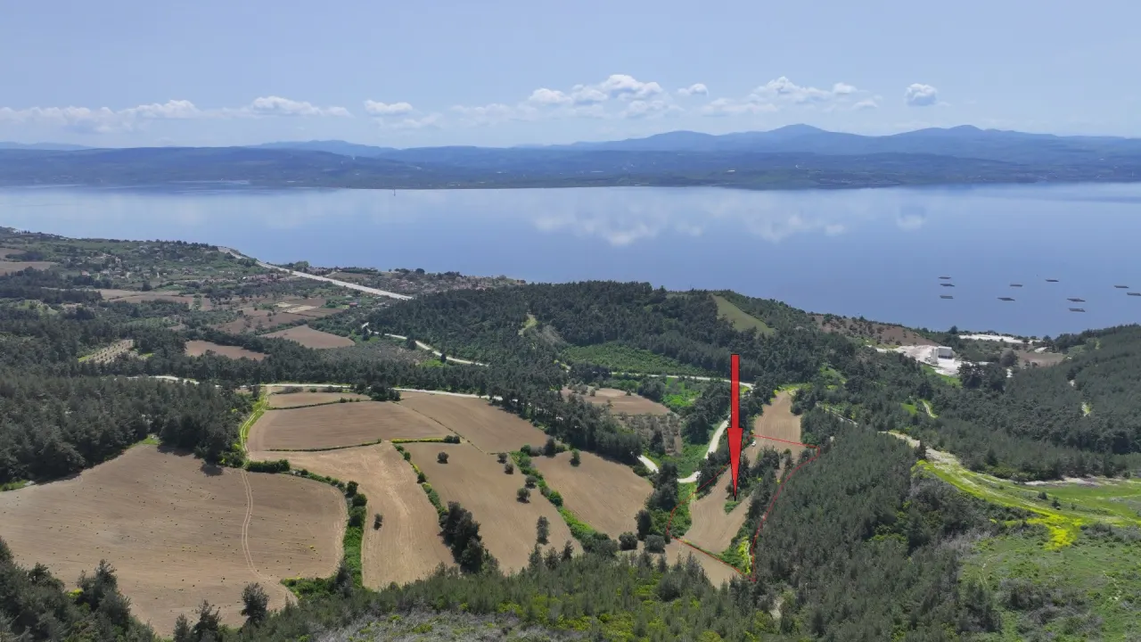 ÇANAKKALE GELİBOLU PAZARLIDA MÜSTAKİL TAPULU 6,517m2 TARLA - görsel 4