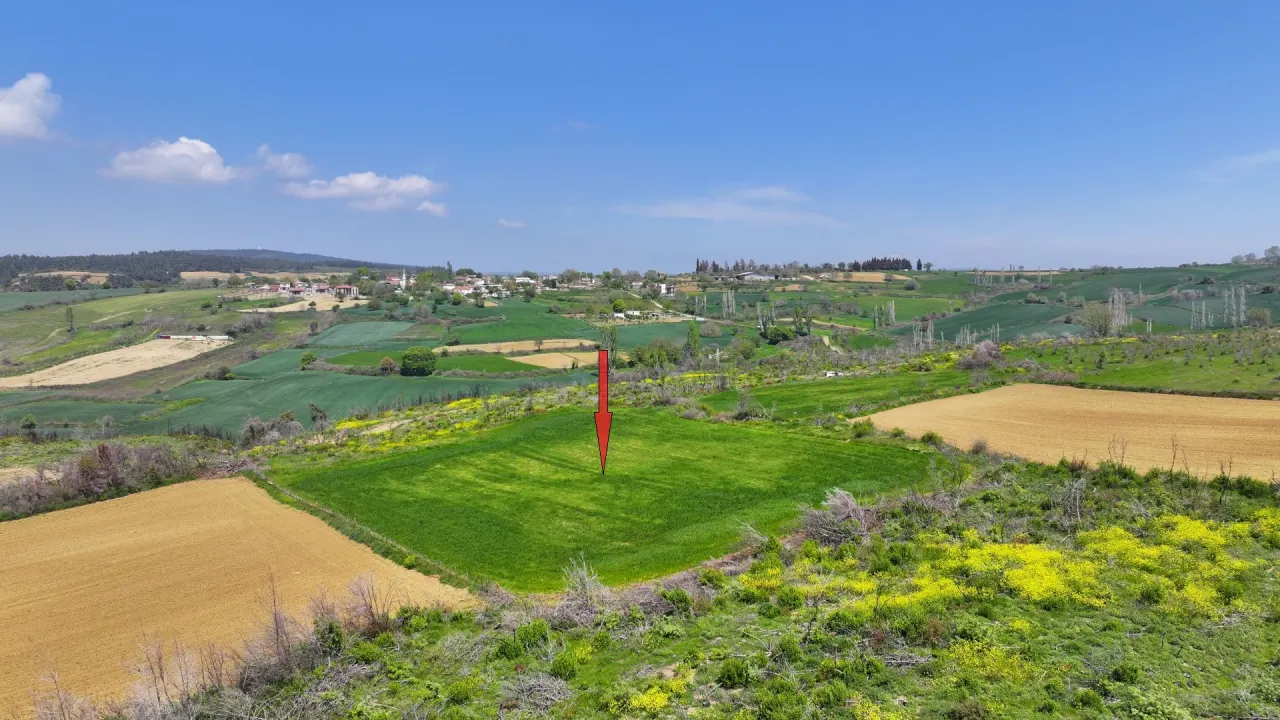 ÇANAKKALE GELİBOLU PAZARLI'DA DOĞA İLE İÇ İÇE 4,899m2 TARLA - görsel 10