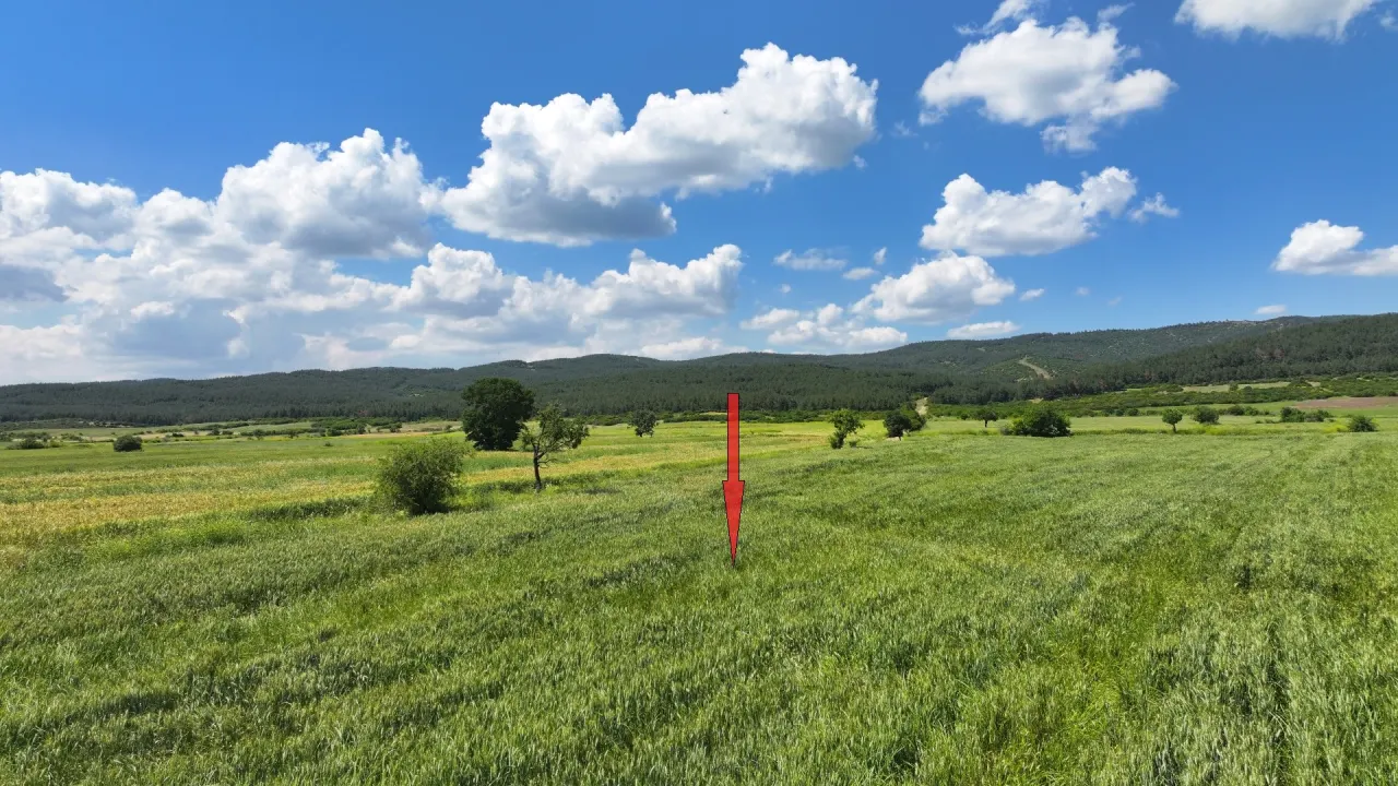 ÇANAKKALE GELİBOLU SÜLEYMANİYEDE MÜSTAKİL TAPULU 9,172m2 TARLA - görsel 4