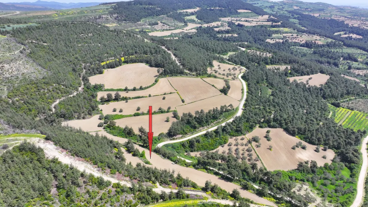 ÇANAKKALE GELİBOLU PAZARLIDA MÜSTAKİL TAPULU 6,517m2 TARLA - görsel 12