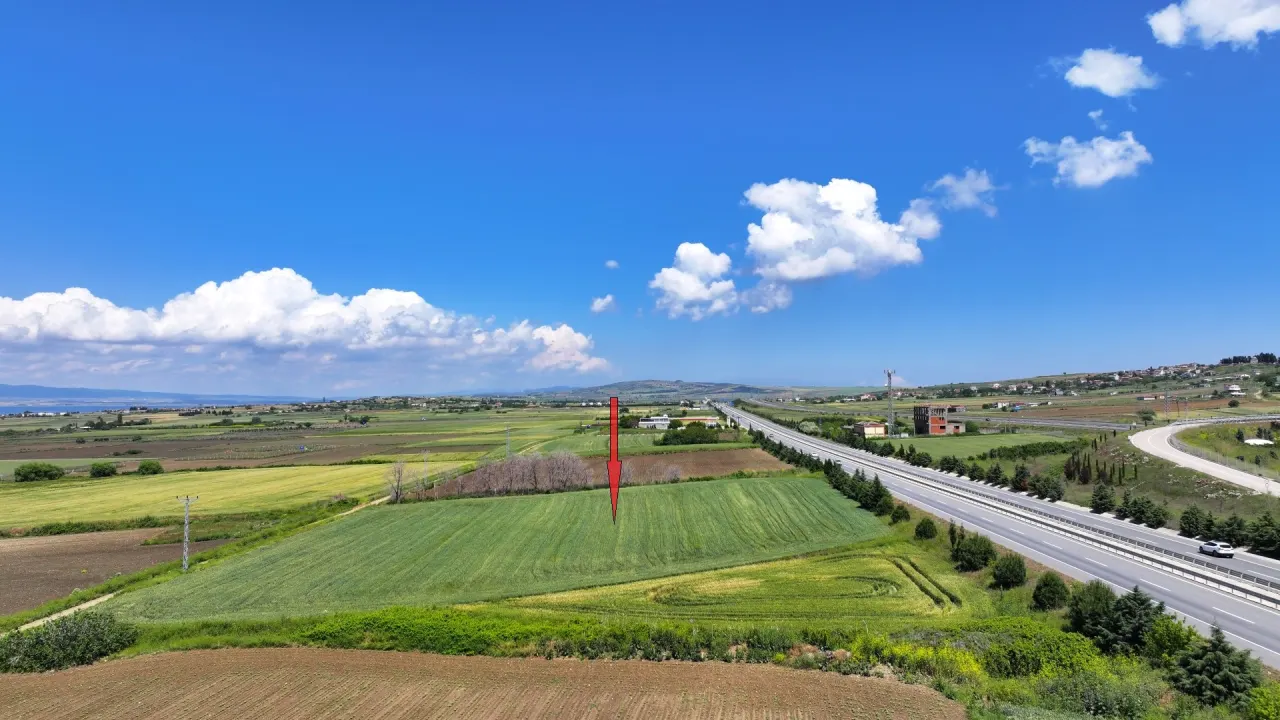 ÇANAKKALE GELİBOLU BOLAYIRDA ANAYOLA CEPHE 10,004m2 TARLA - görsel 25