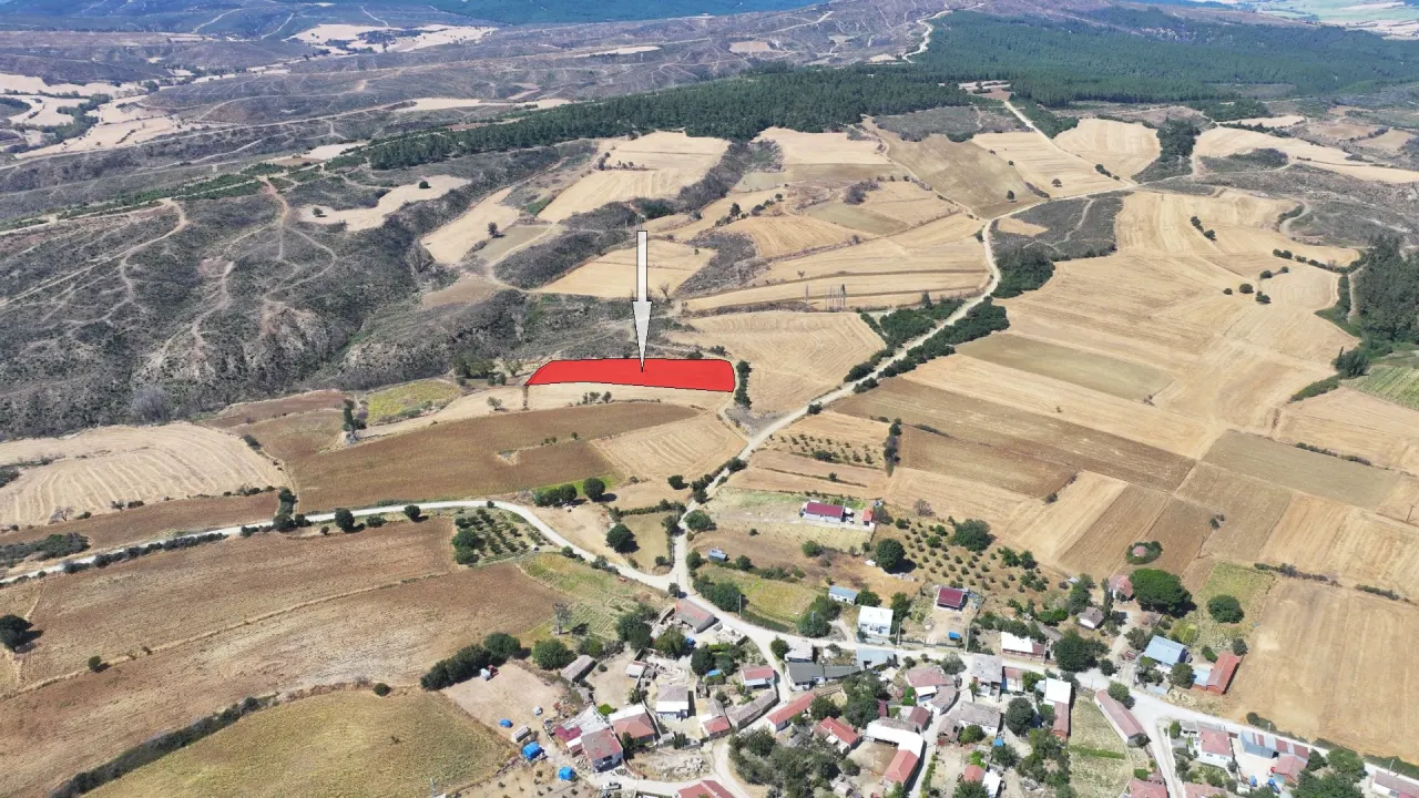 ÇANAKKALE GELİBOLU PAZARLIDA MÜSTAKİL TAPULU 6,493m2 TARLA - görsel 3