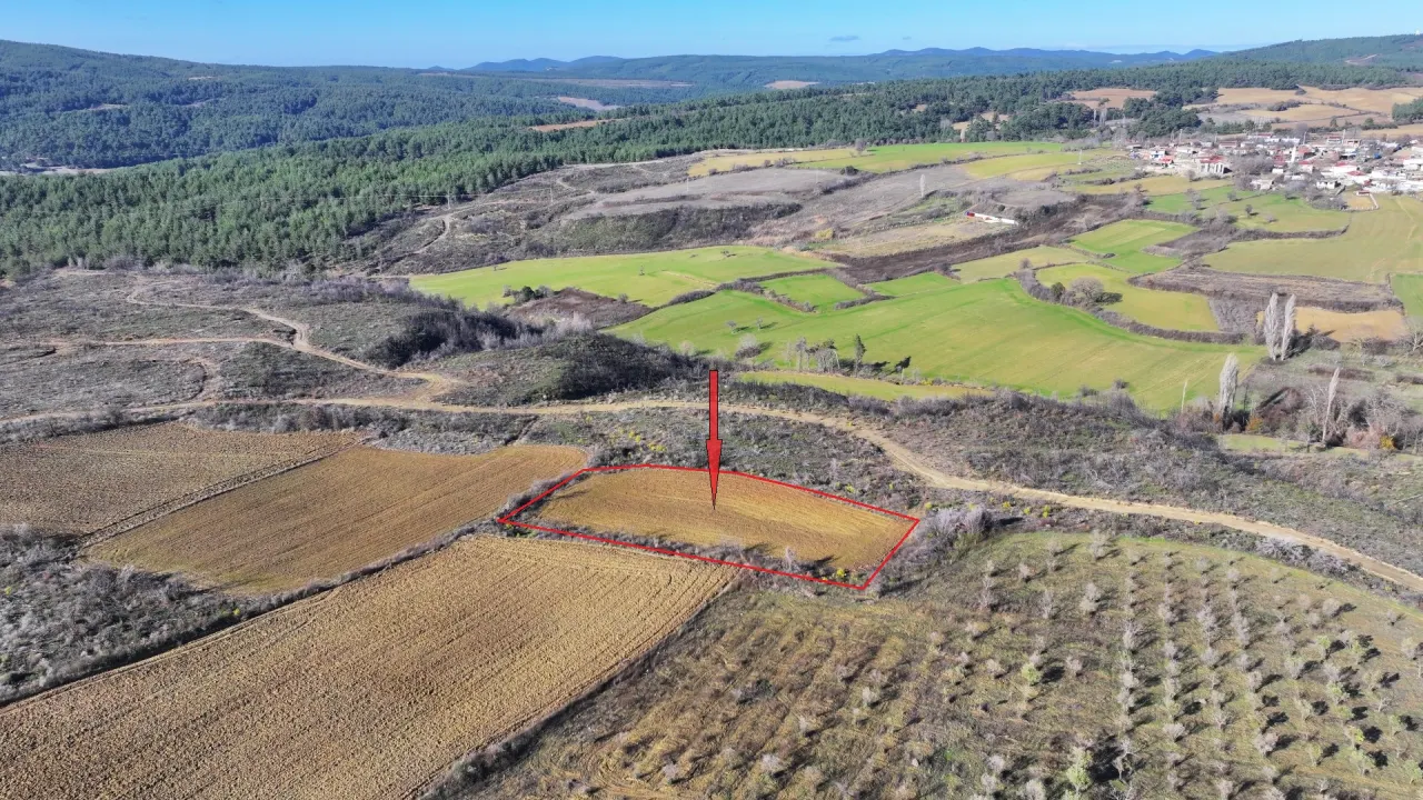 ÇANAKKALE GELİBOLU PAZARLIDA 2,885m2 TARLA - görsel 14