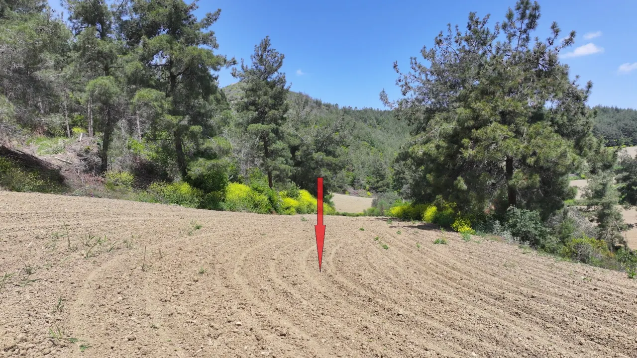 ÇANAKKALE GELİBOLU PAZARLIDA MÜSTAKİL TAPULU 6,517m2 TARLA - görsel 14