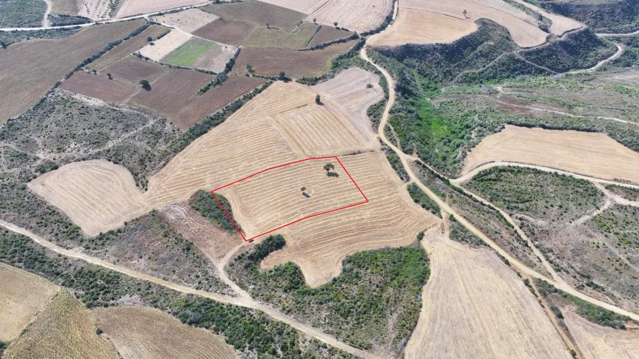 ÇANAKKALE GELİBOLU PAZARLI'DA MÜSTAKİL TAPULU 6,964m2 TARLA - görsel 9