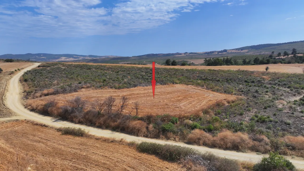 ÇANAKKALE GELİBOLU PAZARLI'DA KÖYE YAKIN MESAFEDE 2,050m2 TARLA - görsel 5