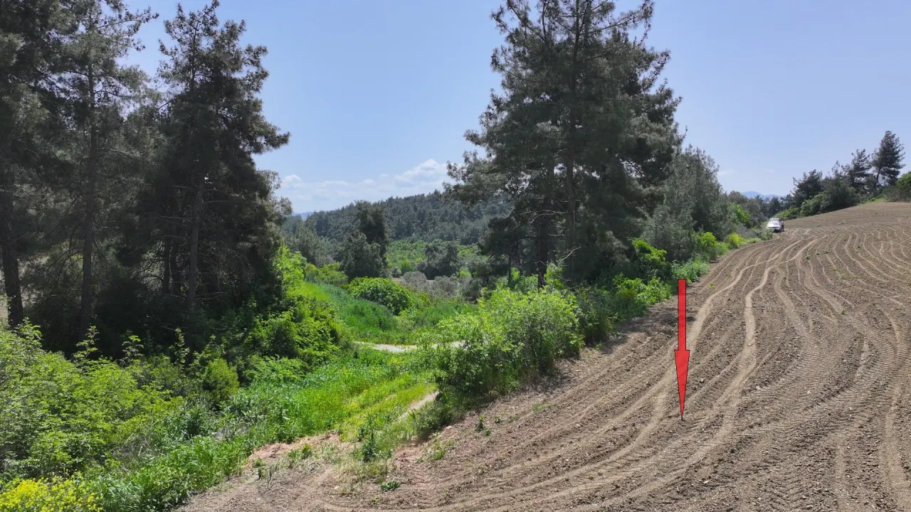 ÇANAKKALE GELİBOLU PAZARLIDA MÜSTAKİL TAPULU 6,517m2 TARLA - görsel 17