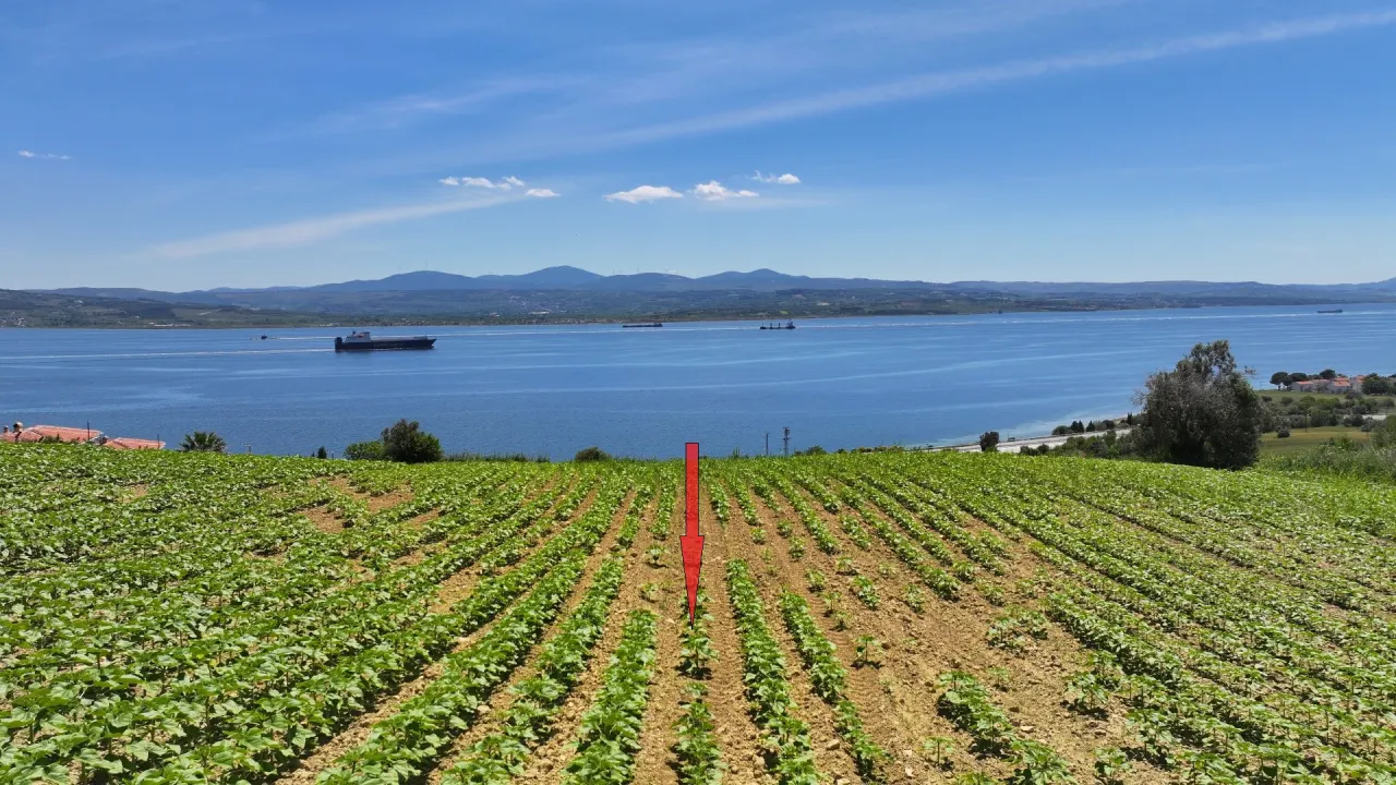 ÇANAKKALE GELİBOLU BURHANLI'DA BOĞAZ MANZARALI 8,062m2 TARLA - görsel 17