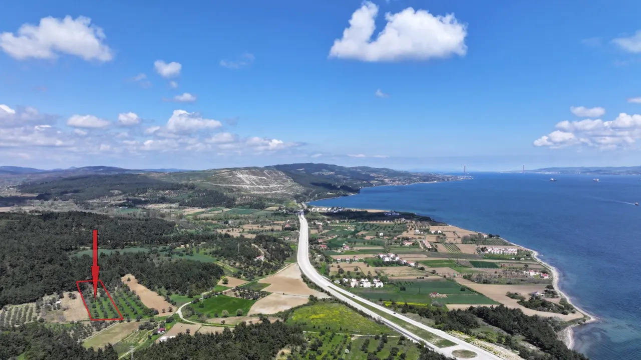 GELİBOLU ILGARDEREDE MÜSTAKİL TAPULU 4,205m2 ZEYTİNLİK - görsel 3