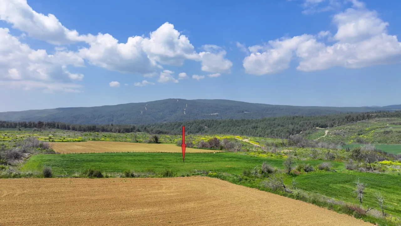 ÇANAKKALE GELİBOLU PAZARLI'DA DOĞA İLE İÇ İÇE 4,899m2 TARLA - görsel 12