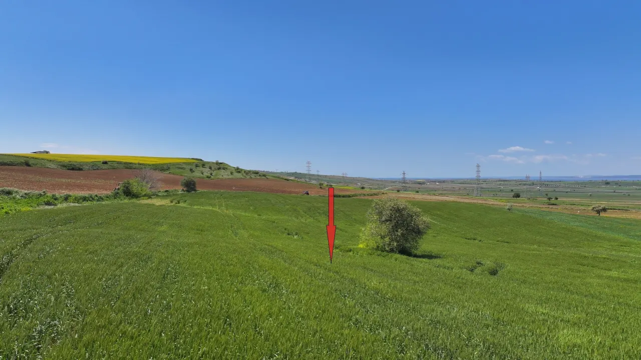 ÇANAKKALE GELİBOLU DEMİRTEPE'DE 14,223m2 MÜSTAKİL TAPULU TARLA - görsel 14