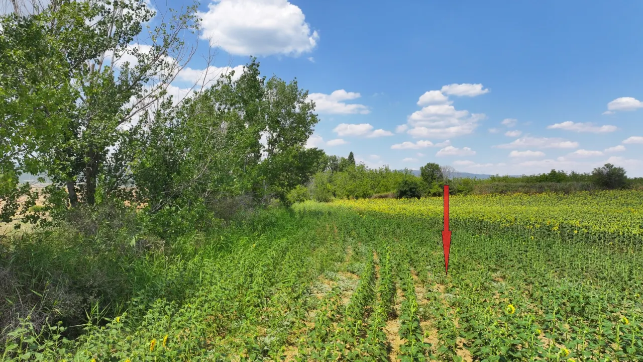 Çanakkale Gelibolu Şadıllı Köyünde Müstakil Tapulu 1,471m2 Tarla - görsel 11
