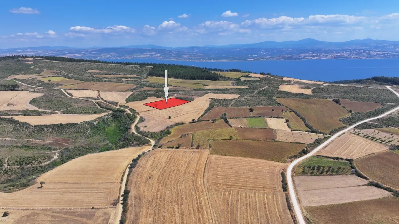 ÇANAKKALE GELİBOLU PAZARLI'DA MÜSTAKİL TAPULU 6,964m2 TARLA - görsel 7