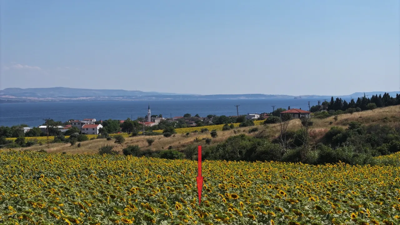 ÇANAKKALE GELİBOLU SÜTLÜCE'DE DENİZ MANZARALI 9,908m2 TARLA - görsel 12