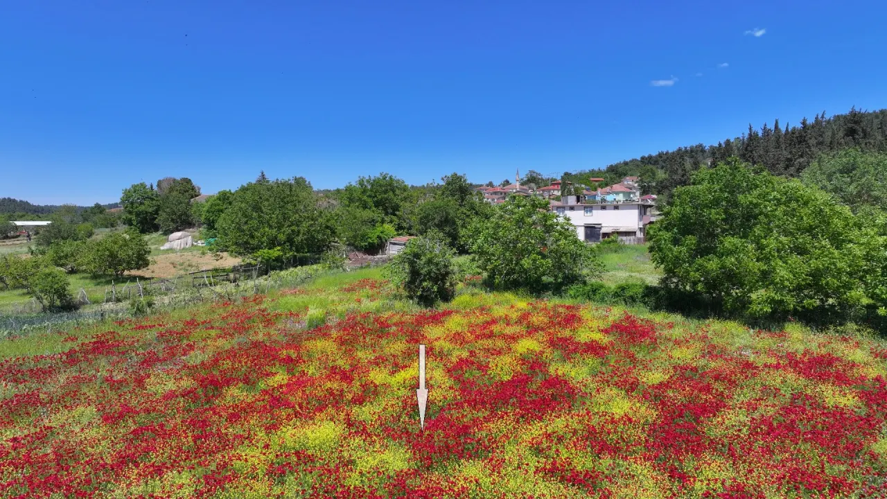 ÇANAKKALE GELİBOLU ILGARDERE'DE KÖY İÇERİSİNDE 5,140m2 TARLA - görsel 10