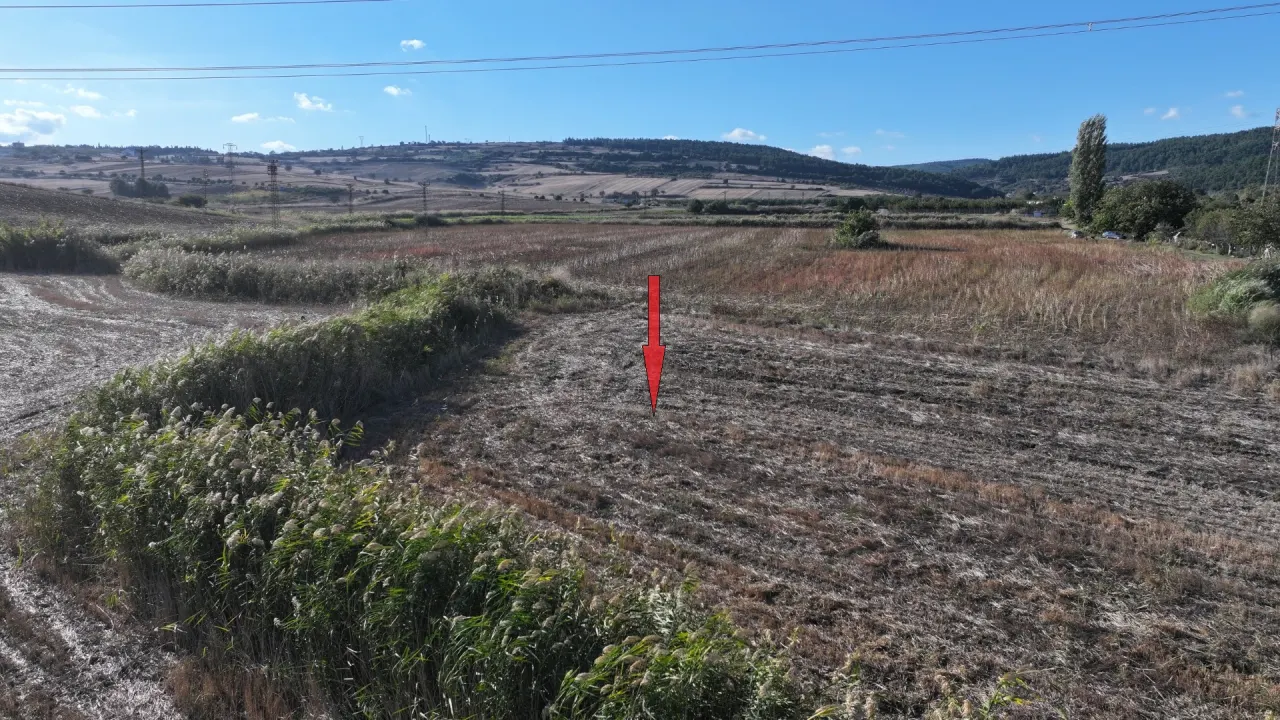 ÇANAKKALE GELİBOLU SÜTLÜCE'DE MÜSTAKİL TAPULU 739m2 TARLA - görsel 13