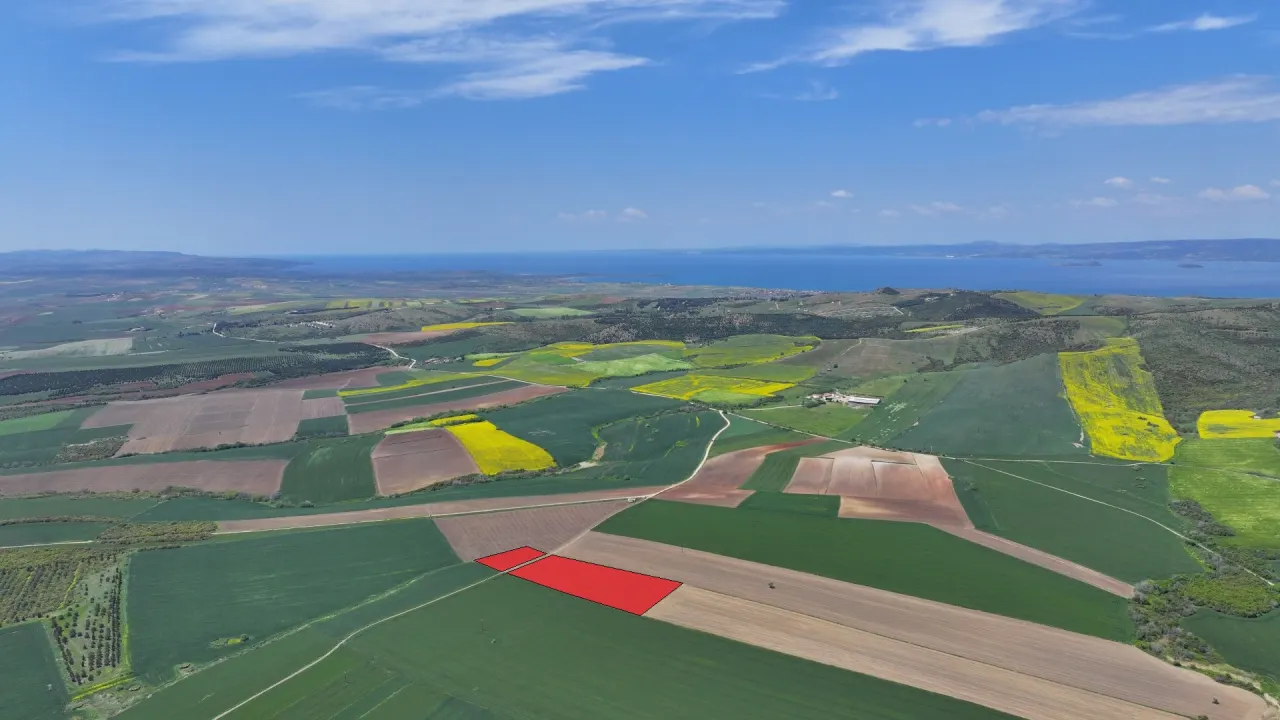 ÇANAKKALE GELİBOLU DEMİRTEPE'DE DENİZ MANZARALI 18,470m2 TARLA. - görsel 10