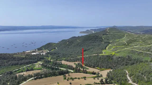 ÇANAKKALE GELİBOLU PAZARLIDA MÜSTAKİL TAPULU 6,517m2 TARLA