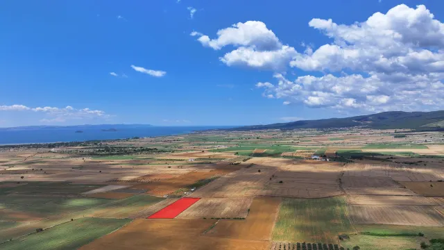 ÇANAKKALE GELİBOLU KALEALTINDA DENİZ MANZARALI 3,800m2 TARLA